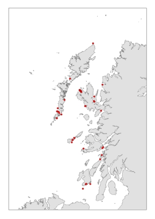 Visual sightings of bottlenose dolphins from Silurian, 2003-2010